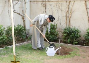 رهبر انقلاب ۳ اصله نهال کاشتند