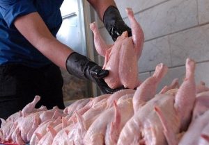 واردات گوشت مرغ آلوده تکذیب شد