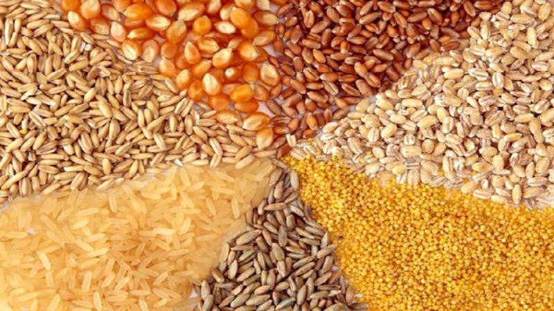 قیمت نهاده های دامی اعلام شد