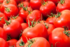 صادرات گوجه فرنگی ممنوع می شود