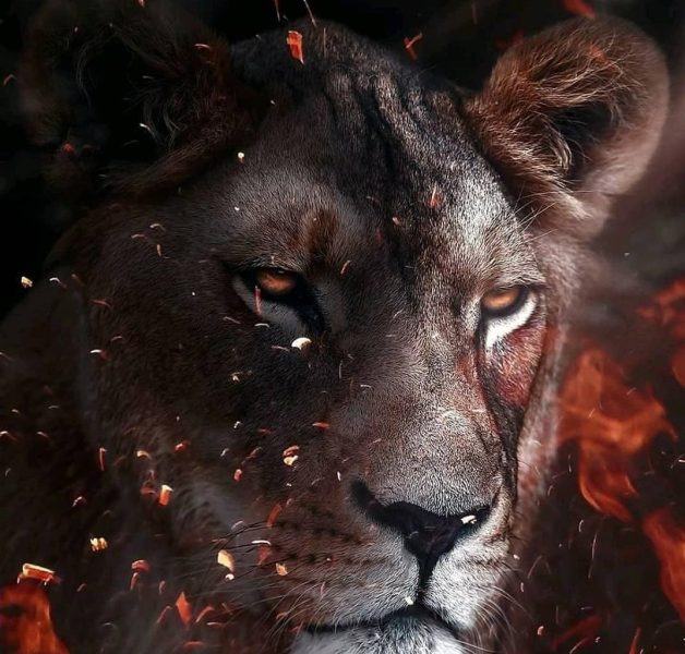 زنان متولد مرداد این ویژگی ها را دارند!