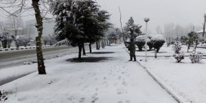 بارش برف در تهران
