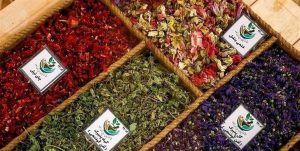 گیاهان دریایی به چرخه تولید دارو وارد شدند