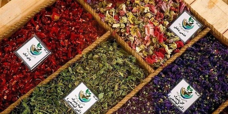 گیاهان دریایی به چرخه تولید دارو وارد شدند