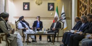 استقبال ایران از فرمان ممنوعیت کشت خشخاش در افغانستان
