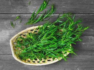 بهترین سبزی معطر و مناسب برای دندان درد!