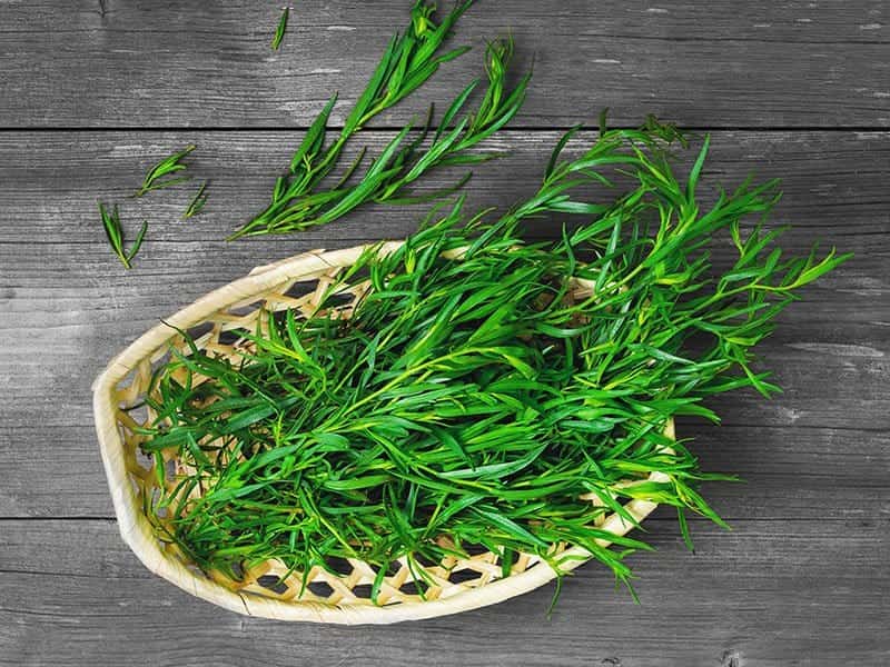 بهترین سبزی معطر و مناسب برای دندان درد!