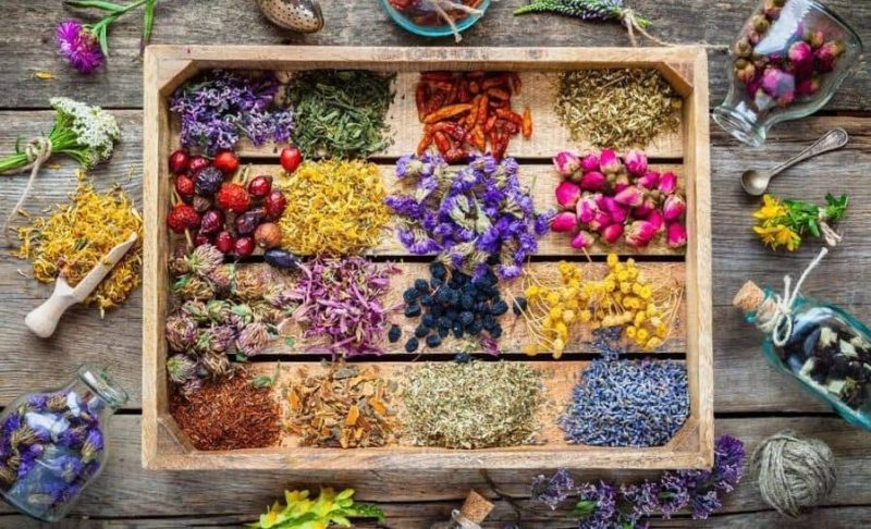 بهترین دمنوش های گیاهی برای تسکین سریع انواع سردرد