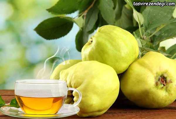 طرز تهیه ” دمنوش به ” آرامبخش و نشاط آور • خواص چای به