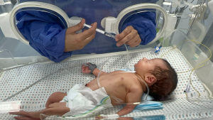 هشدار سازمان ملل به مرگ نوزادان نارس در غزه