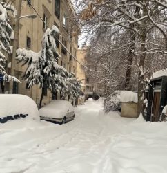 دیشب نیم متر در تهران برف بارید+عکس