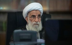 امیدواریم منتخبان گره‌گشای مشکلات مردم باشند
