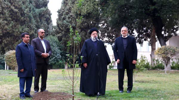 همه بخش‌ها برای کاشت یک‌میلیارد اصله درخت مسئولانه و جدی اقدام کنند