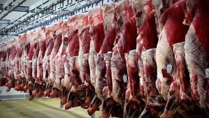دلیل صفهای طولانی خرید گوشت تنظیم بازاری اعلام شد