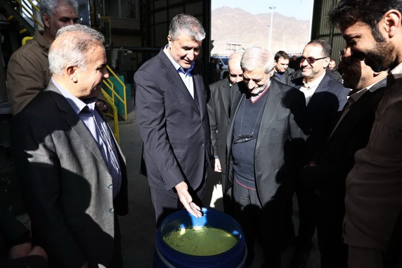 بازدید رییس سازمان انرژی اتمی از مجتمع معدنی و صنعتی ساغند