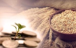 زکات فطریه بر چه کسانی واجب است؟ +مبلغ فطریه