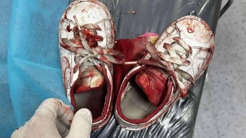تعداد شهدای غزه از ۵۰ هزار گذشت