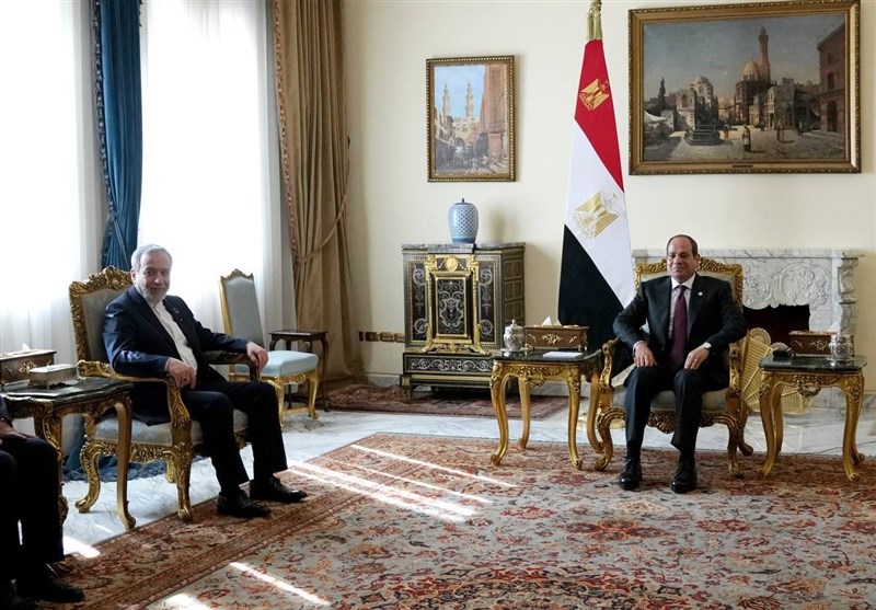 دیدار عراقچی با رئیس‌جمهور مصر