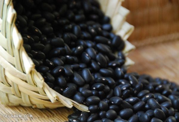 لوبیای سیاه؛ منبع گیاهی پروتئین و دوست روده‌های سالم