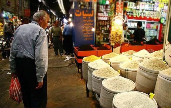 برنج ایرانی به زودی ارزان‌می شود/ ریزش شدید قیمت‌ها تا دو هفته آینده