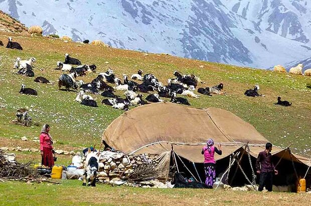 بیمه رایگان زنان سرپرست خانوار عشایر و روستایی