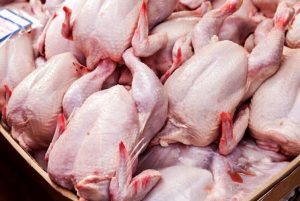 خرید حمایتی مرغ به ۳۰ هزارتن رسید