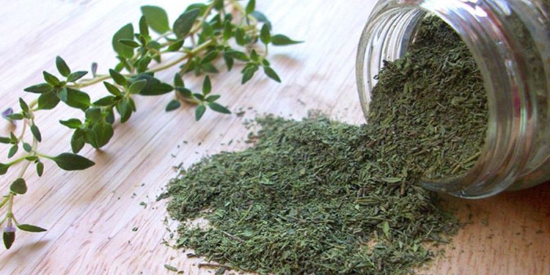 آویشن کوهی؛ ضدعفونی‌کننده طبیعی از دل کوه‌های ایران