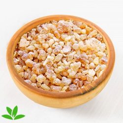 کندر؛ حافظه‌ای که در قطره‌ای طلایی نفس می‌کشد