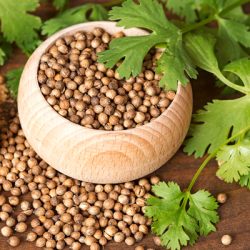 گشنیز؛ زمزمه‌ی خنکی در گرمای آشوب