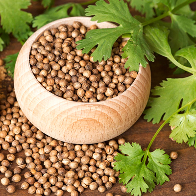 گشنیز؛ زمزمه‌ی خنکی در گرمای آشوب