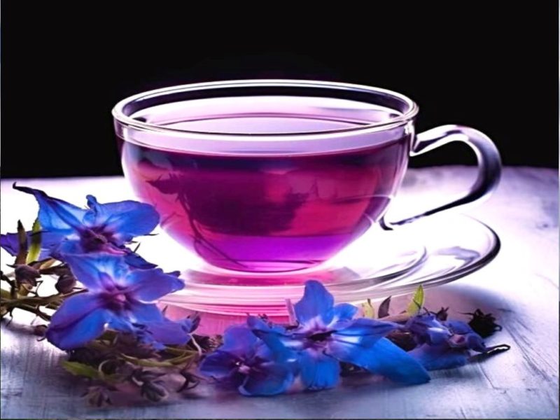 گل‌گاوزبان؛ آرام‌بخش طبیعی با تاثیر مثبت بر اضطراب و فشار خون