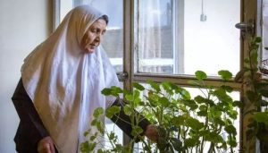 «تنهایی سالمندان؛ بحران خاموش جامعه مدرن»