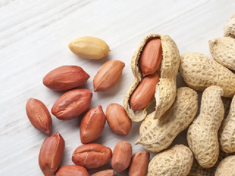بادام‌زمینی، سلاحی طبیعی علیه پیری زودرس