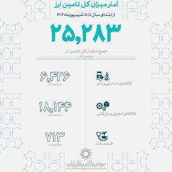 تامین ۶.۵ میلیارد دلار ارز کالاهای اساسی