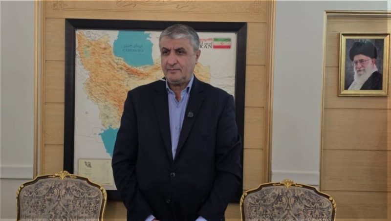 رییس سازمان انرژی اتمی عازم وین شد