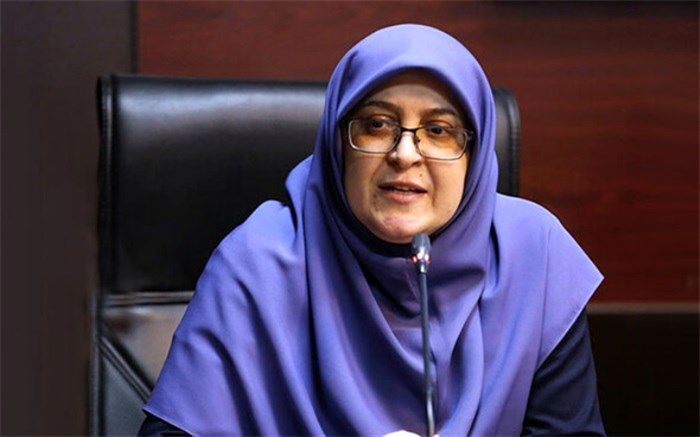 مهاجرانی: دولت کارگروه‌هایی برای رفع موانع تولیدکنندگان تشکیل داده است