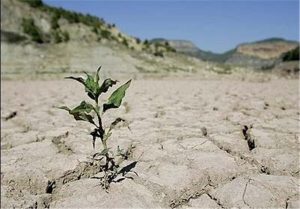 ایران در آستانه پاییز خشک‌تر؛ هشدار درباره تداوم بحران آب