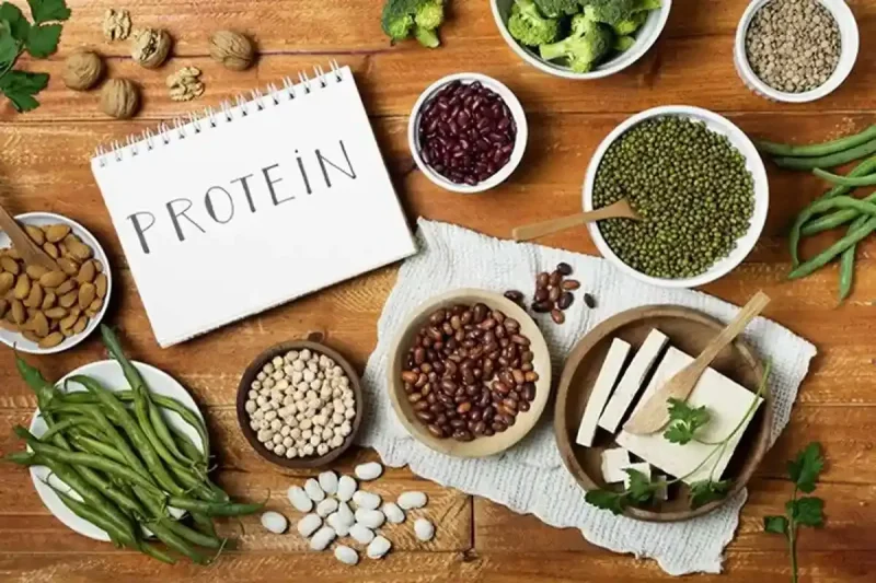 پروتئین گیاهی برای ریکاوری عضلات در زمستان